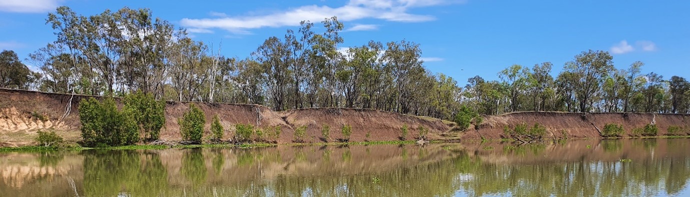 A near vertical eroding bank at Site 8, prior to stabilisation works.