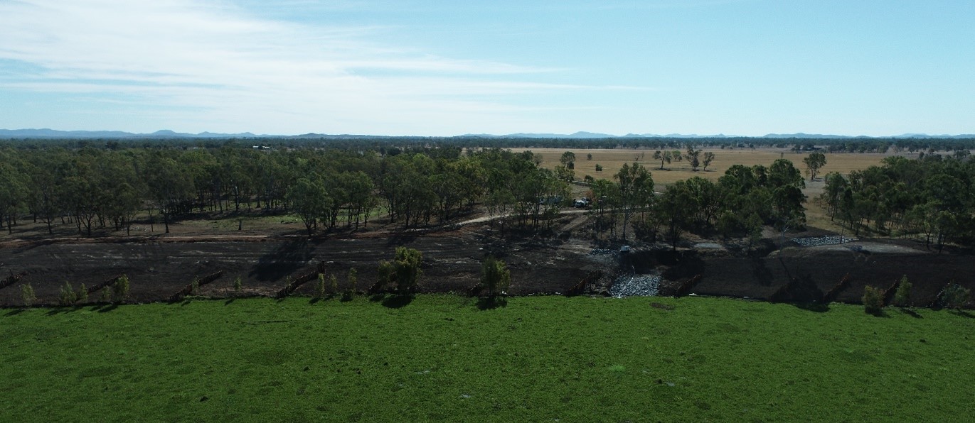 Timber pile fields for bank stabilisation.